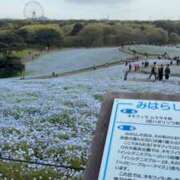 ヒメ日記 2026/04/29 17:03 投稿 あど 川越ぷよステーション