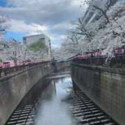 ヒメ日記 2025/05/02 16:23 投稿 あど ぷよステーション大宮店