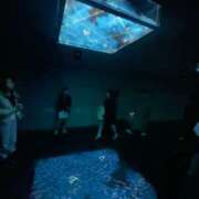 ヒメ日記 2025/05/05 16:53 投稿 あど ぷよステーション大宮店