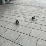 ヒメ日記 2025/06/06 16:21 投稿 あど ぷよステーション大宮店