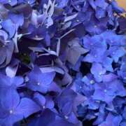 ヒメ日記 2025/06/16 16:13 投稿 あど ぷよステーション大宮店