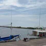 ヒメ日記 2025/09/12 16:53 投稿 あど ぷよステーション大宮店