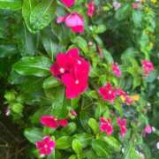 ヒメ日記 2025/10/14 10:29 投稿 あど ぷよステーション大宮店