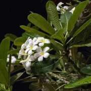 あど 🚶‍♀️💦‎🤍 ぷよステーション大宮店