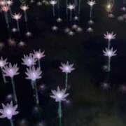 ヒメ日記 2025/12/19 17:03 投稿 あど ぷよステーション大宮店