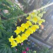 ヒメ日記 2026/01/26 09:53 投稿 あど ぷよステーション大宮店