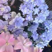 ヒメ日記 2026/02/10 10:03 投稿 あど ぷよステーション大宮店