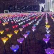 ヒメ日記 2026/02/16 17:03 投稿 あど ぷよステーション大宮店