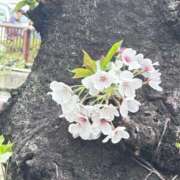 ヒメ日記 2026/03/24 19:33 投稿 あど ぷよステーション大宮店