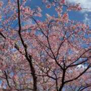 あど また今度…🤍 ぷよステーション大宮店