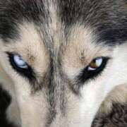 ヒメ日記 2025/05/16 20:52 投稿 レイナ CANDY　BELOVED