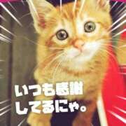 ヒメ日記 2025/06/01 21:30 投稿 レイナ CANDY　BELOVED