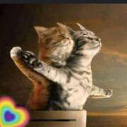 ヒメ日記 2025/06/13 05:41 投稿 レイナ CANDY　BELOVED