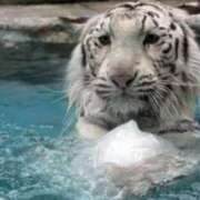 ヒメ日記 2025/07/08 17:54 投稿 レイナ CANDY　BELOVED