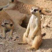 ヒメ日記 2025/09/27 06:48 投稿 レイナ CANDY　BELOVED