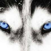 ヒメ日記 2025/09/28 00:17 投稿 レイナ CANDY　BELOVED