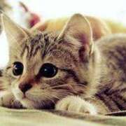 ヒメ日記 2025/10/13 07:54 投稿 レイナ CANDY　BELOVED