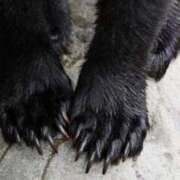 ヒメ日記 2025/10/24 06:30 投稿 レイナ CANDY　BELOVED