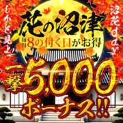 ヒメ日記 2024/11/18 00:55 投稿 れお 沼津人妻花壇