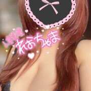 ヒメ日記 2024/12/13 12:58 投稿 れお 沼津人妻花壇