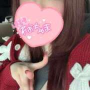 ヒメ日記 2024/12/21 12:04 投稿 れお 沼津人妻花壇