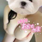 ヒメ日記 2025/03/09 12:39 投稿 れお 沼津人妻花壇