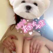 ヒメ日記 2025/05/26 15:20 投稿 れお 沼津人妻花壇