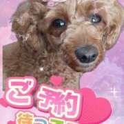 ヒメ日記 2025/02/22 12:00 投稿 むぎ モアグループ小山人妻花壇