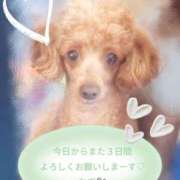 ヒメ日記 2025/09/05 16:24 投稿 むぎ モアグループ小山人妻花壇