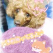 むぎ 小山向かってるよー🚃 モアグループ小山人妻花壇