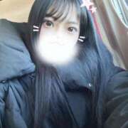 ヒメ日記 2025/01/19 20:31 投稿 司【新人】 Minx（ミンクス）