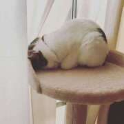 ヒメ日記 2025/11/05 17:31 投稿 一花（イチカ） アバンチュール(五反田)