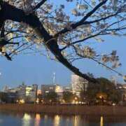 一花（イチカ） ??????? ????? アバンチュール(五反田)