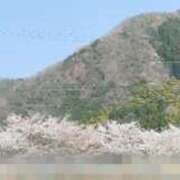 ヒメ日記 2025/04/07 13:08 投稿 れん ギン妻パラダイス 十三店