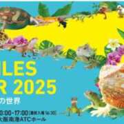 ヒメ日記 2025/07/11 14:47 投稿 れん ギン妻パラダイス 十三店