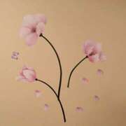 ヒメ日記 2025/10/20 23:16 投稿 れん ギン妻パラダイス 十三店