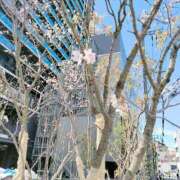 ヒメ日記 2026/03/27 22:31 投稿 れん ギン妻パラダイス 十三店