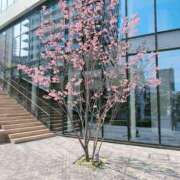 ヒメ日記 2026/03/28 13:31 投稿 れん ギン妻パラダイス 十三店