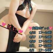 ヒメ日記 2025/04/25 13:34 投稿 羽生 けい Mの世界