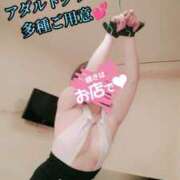 ヒメ日記 2025/04/29 19:04 投稿 羽生 けい Mの世界