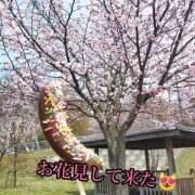 ヒメ日記 2025/04/29 21:21 投稿 羽生 けい Mの世界