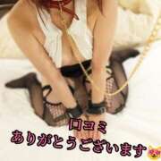 ヒメ日記 2025/04/30 19:04 投稿 羽生 けい Mの世界