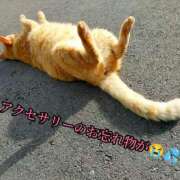 ヒメ日記 2025/05/21 18:57 投稿 羽生 けい Mの世界