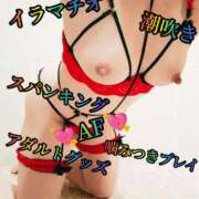 ヒメ日記 2025/05/21 20:13 投稿 羽生 けい Mの世界