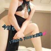 ヒメ日記 2025/07/02 13:04 投稿 羽生 けい Mの世界