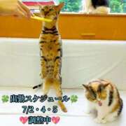 ヒメ日記 2025/07/02 15:09 投稿 羽生 けい Mの世界