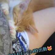 ヒメ日記 2025/07/09 13:36 投稿 羽生 けい Mの世界