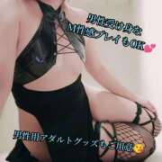 ヒメ日記 2025/07/30 21:24 投稿 羽生 けい Mの世界