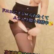 ヒメ日記 2025/10/08 02:09 投稿 羽生 けい Mの世界