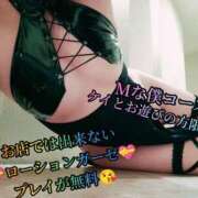 ヒメ日記 2025/10/28 03:03 投稿 羽生 けい Mの世界